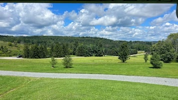 Vista desde la propiedad