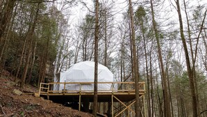 A dome-shaped tent in a forest, surrounded by trees, with a wooden platform and steps leading up to it. - "The Perch" RRG - Modern Elevated Stay w/ Hot Tub (Campton)