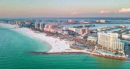 2 MI to USF! Pet Friendly! Pool and Gym!