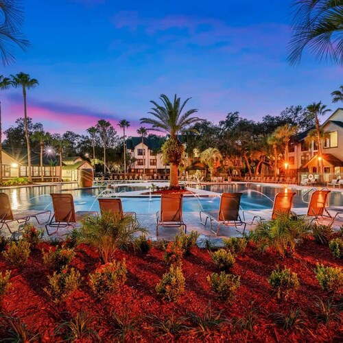 USF Student Housing! Gym + Pool + Grill