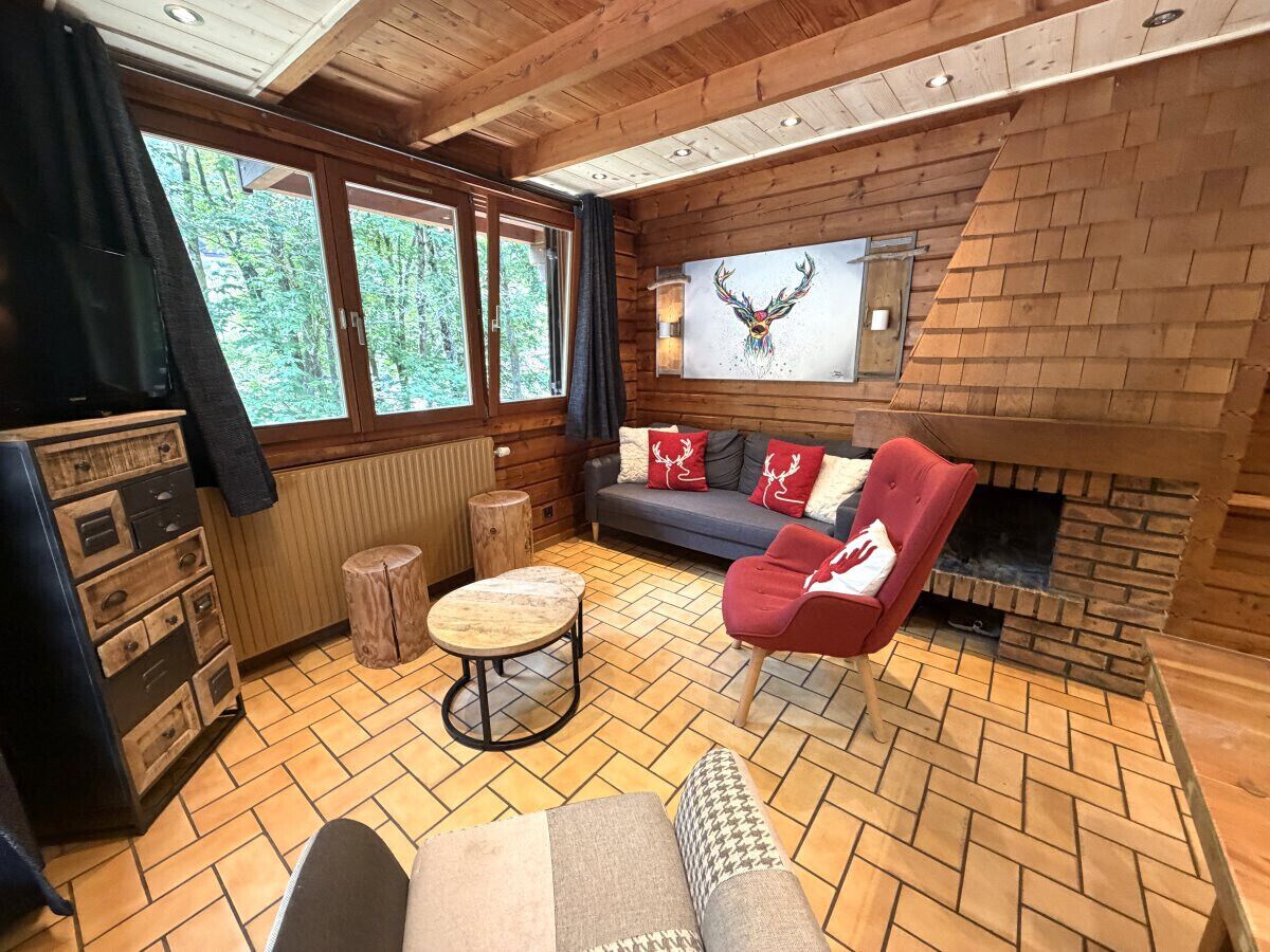Fernseher, Kamin