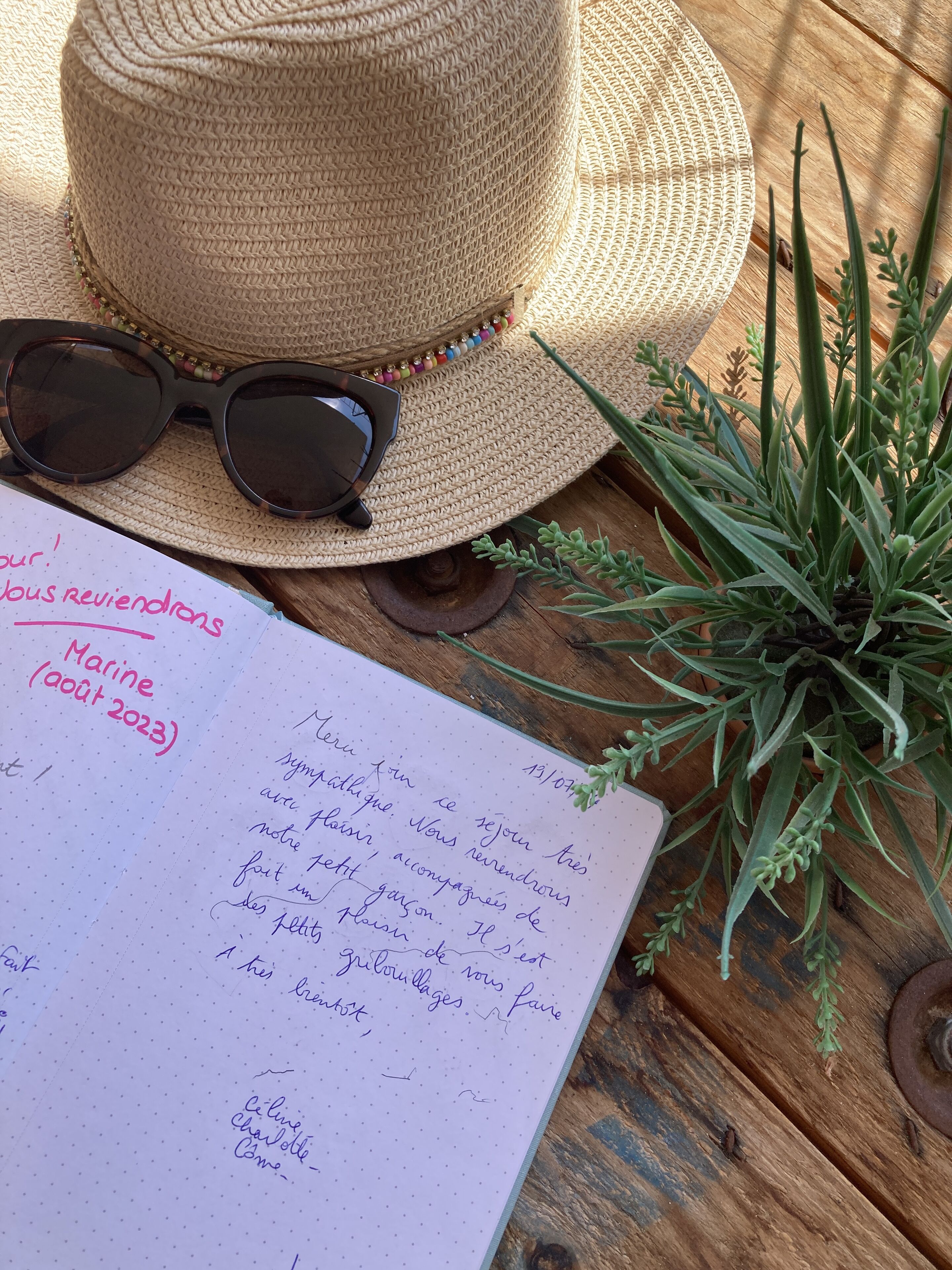 A notebook with handwritten text, a straw hat, sunglasses, and a green plant on a wooden surface.