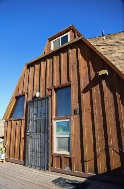 Eccentric Brown Bear Dome
