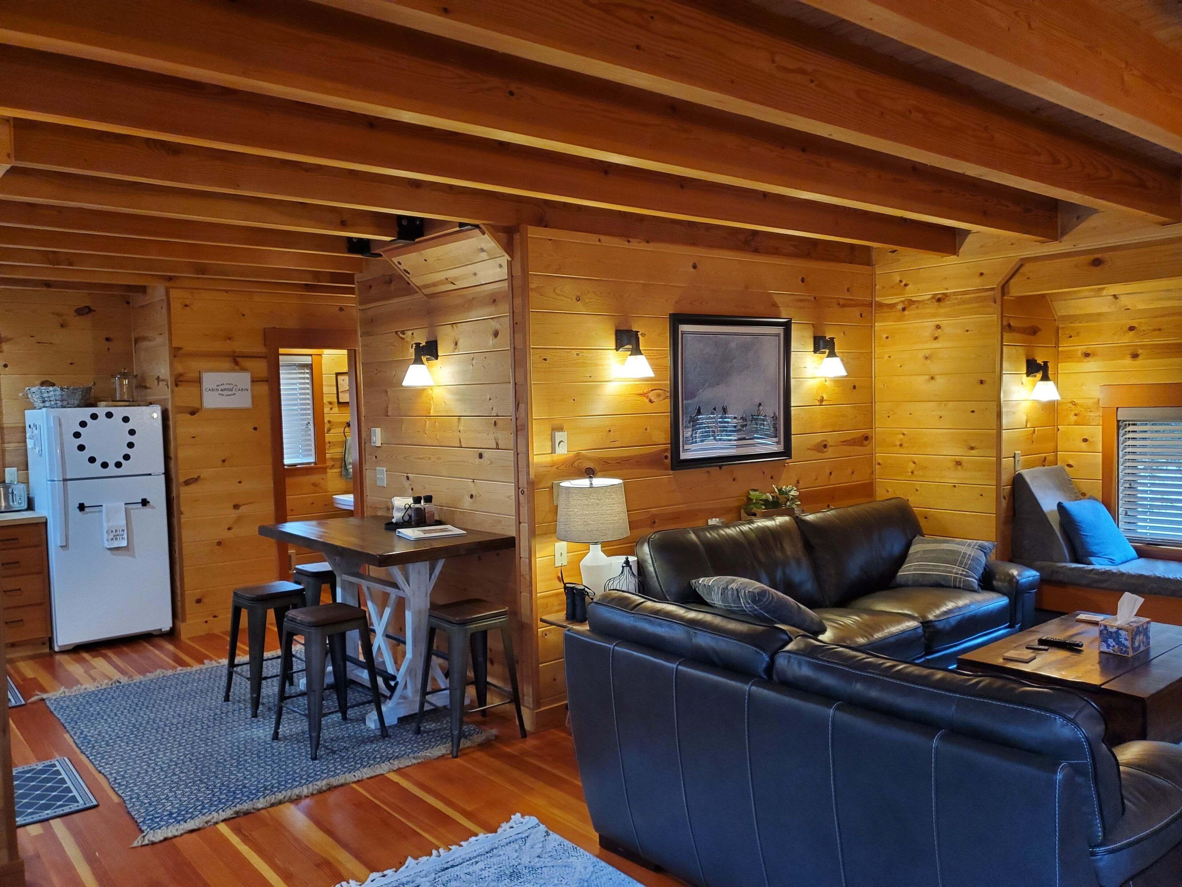 TV, fireplace, video games