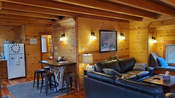 TV, fireplace, video games