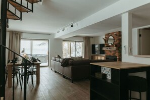 Smart TV, fireplace, books