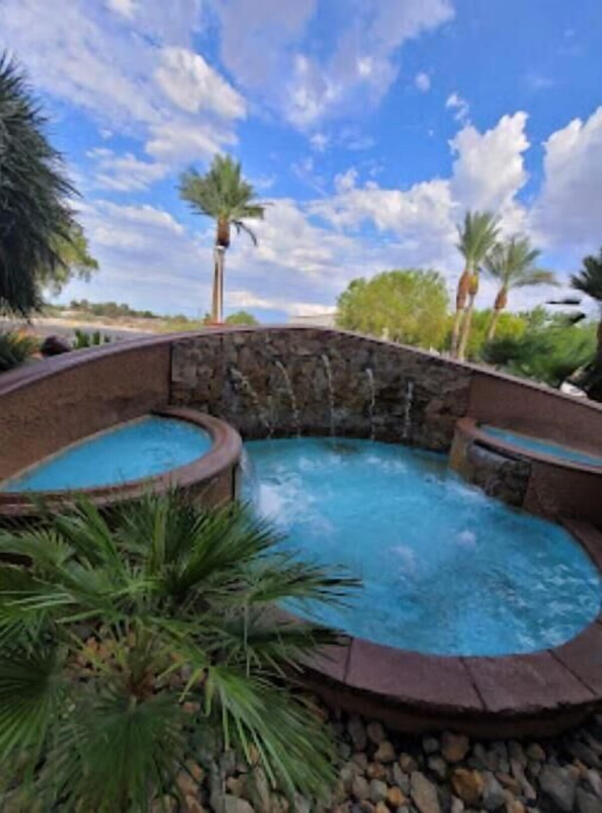 Imagen de perfil del propietario o de la propietaria