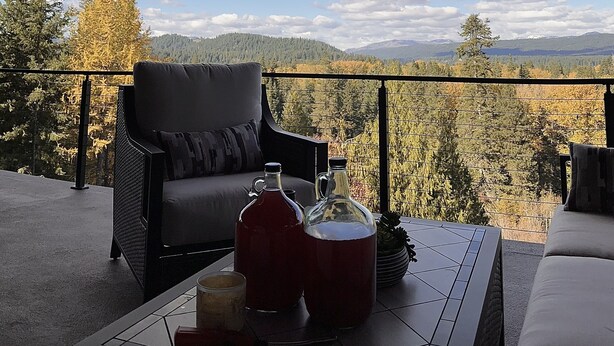 Un balcon donnant sur une forêt et des montagnes, une chaise en osier, une table avec une bouteille et une tasse, et un plafond en bois.