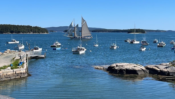 A harbor with multiple sailboats and a dock.