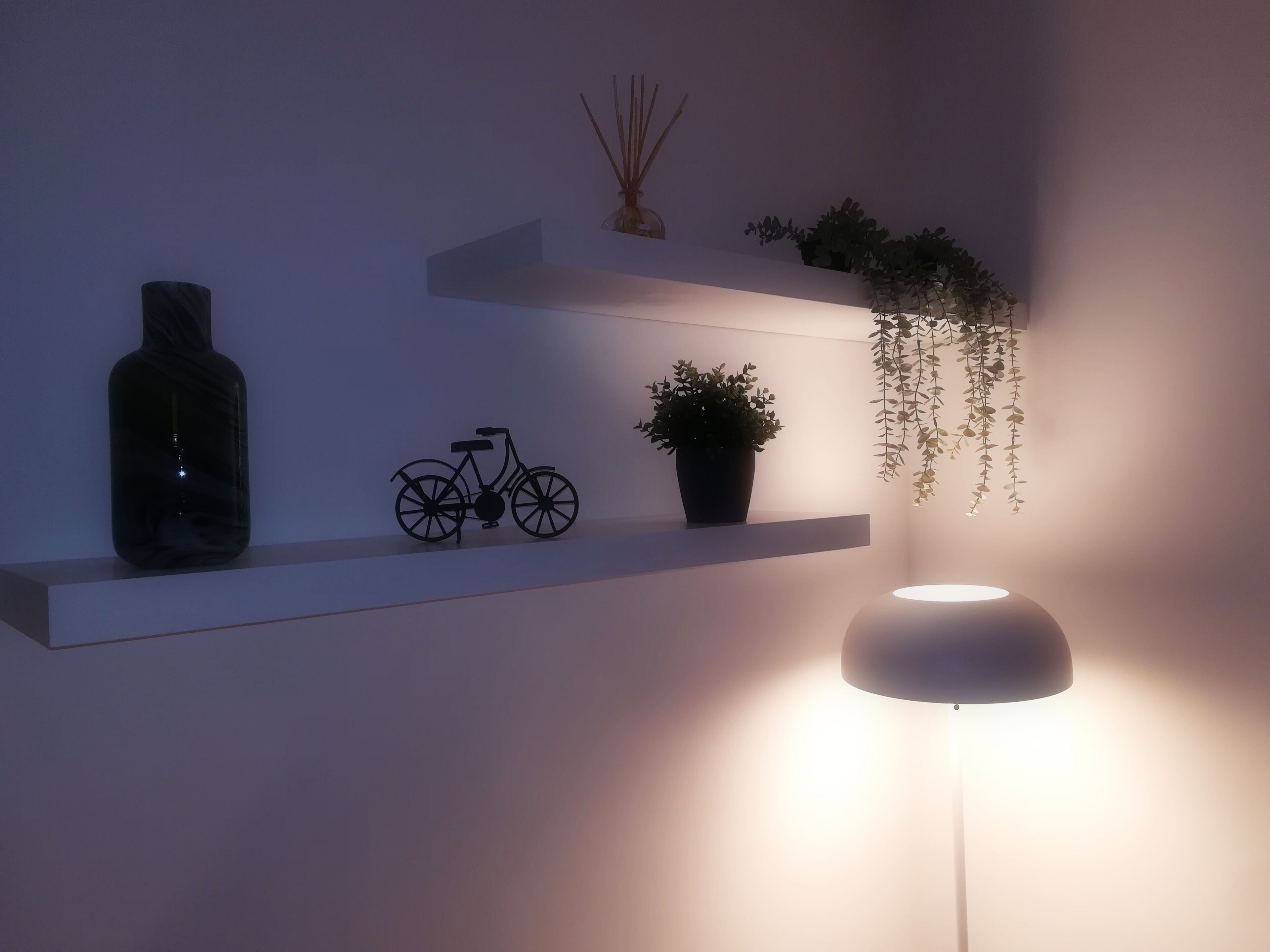 Un interior moderno con una estantería minimalista que muestra una botella, un modelo de bicicleta y una planta en maceta.