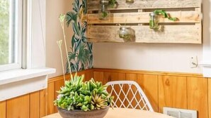 Une pièce avec un mur orné d’un jardinière en bois, où sont disposées différentes plantes, une table ronde avec un bol rempli de plantes succulentes et une chaise blanche.