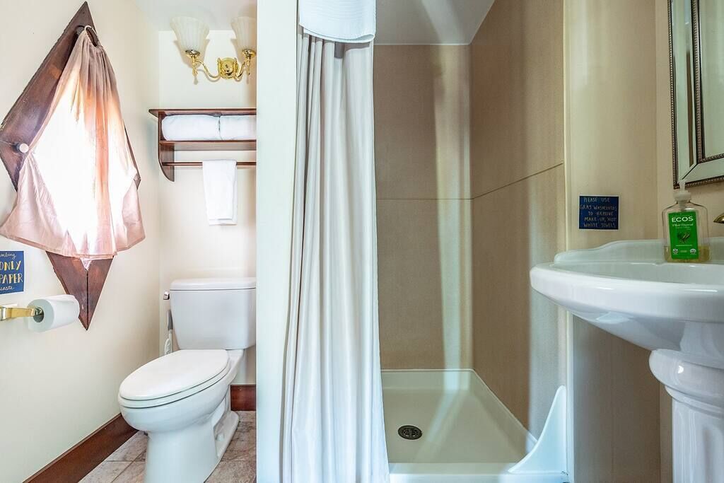 A bathroom with a toilet, shower, and sink.
