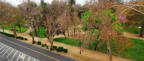 Un parque con un sendero pavimentado, árboles y una calle.