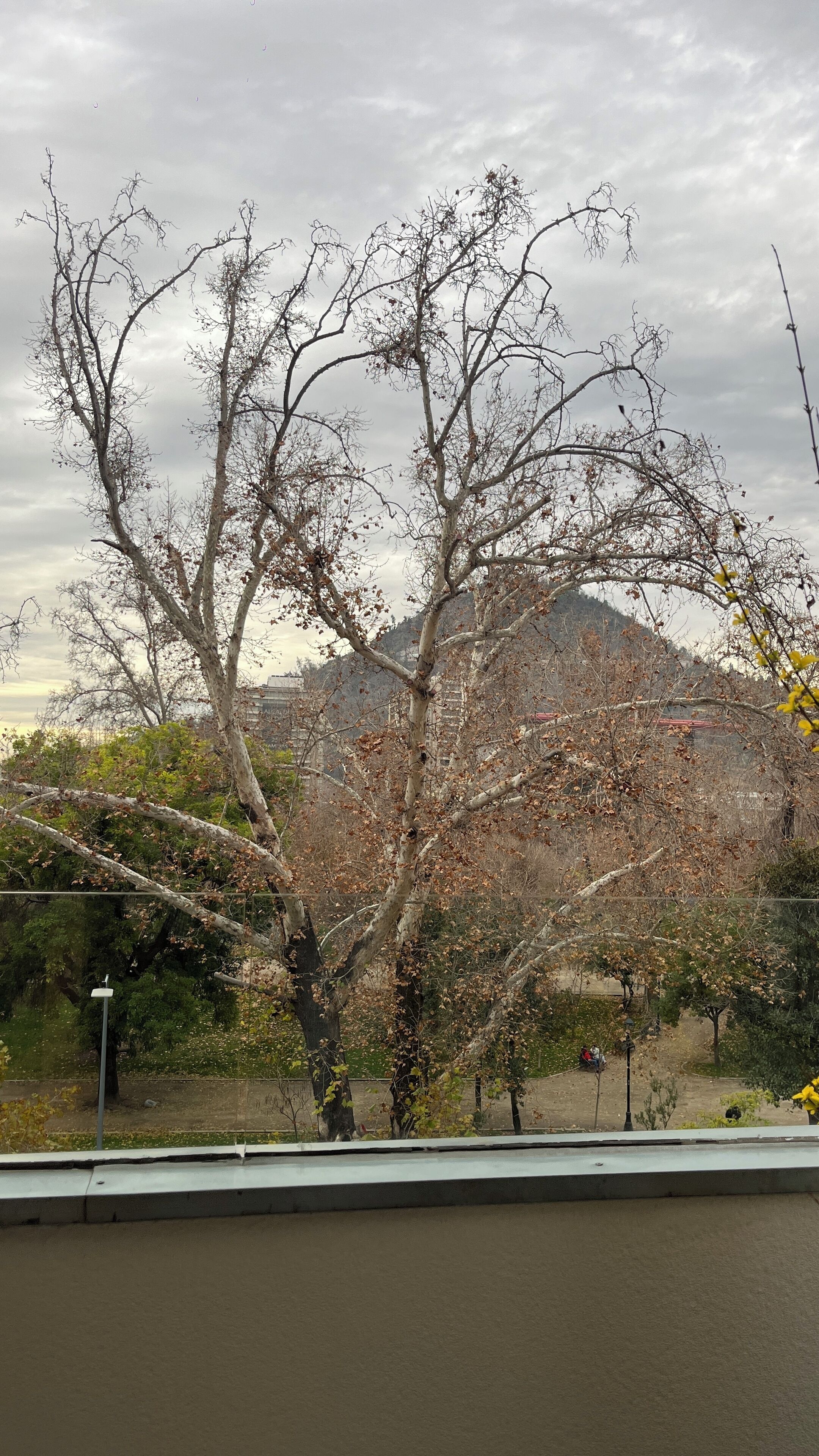 Photo - BHB Hotel Boutique