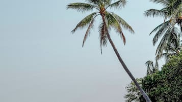 Sulla spiaggia, sabbia scura