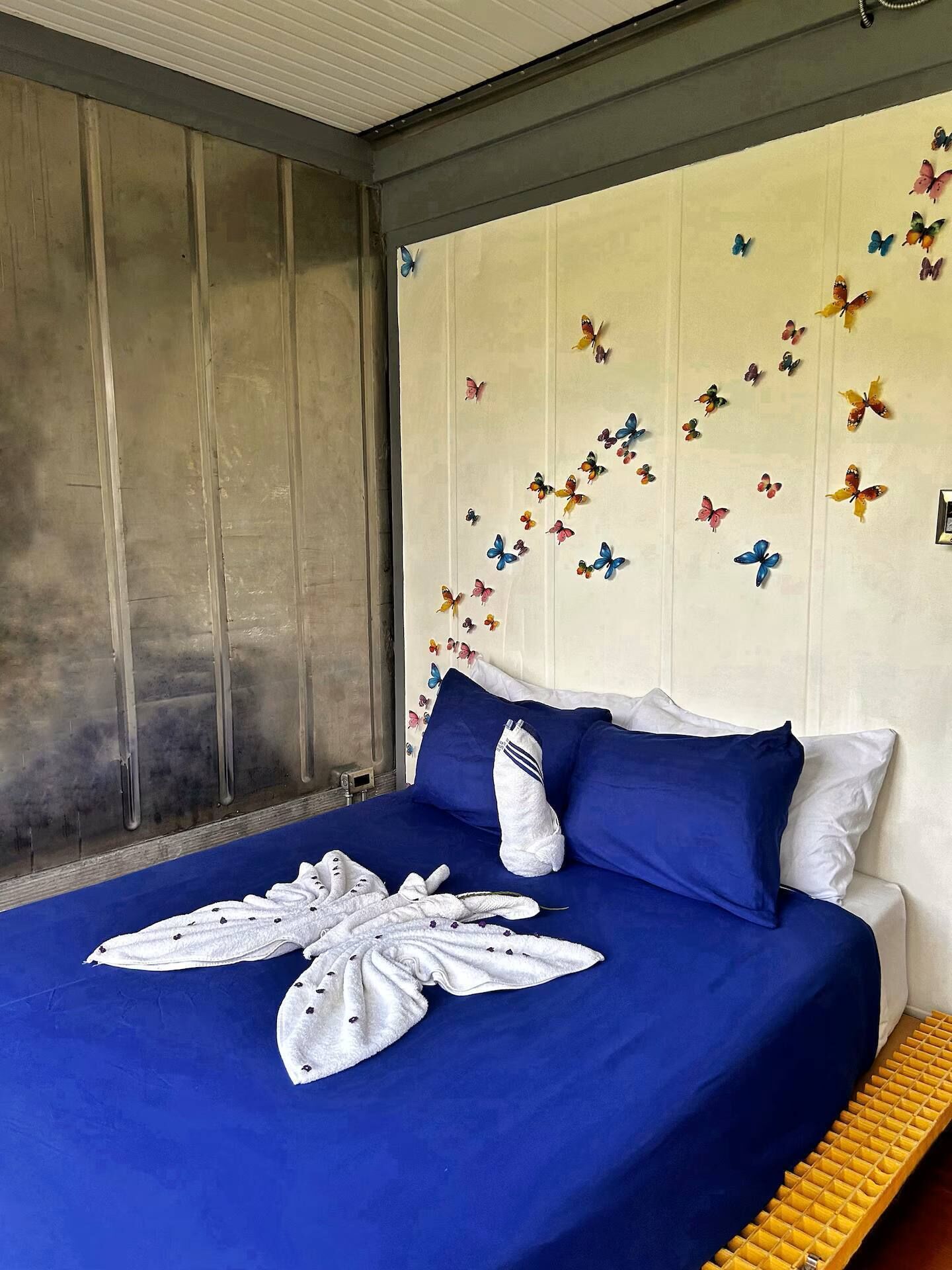 A hotel room with a bed, a headboard with butterfly decals, and a window with blinds.