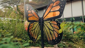 A butterfly sculpture in a garden area with a building in the background. - Pupa House  (Tamarindo)