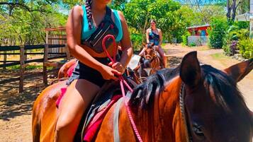 A person riding a horse in an outdoor setting with a wooden fence and greenery in the background.