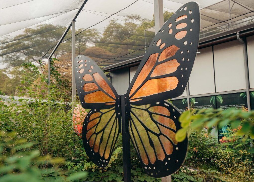 Photo - Capsule Pupa House