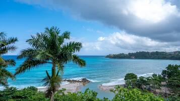 A coastal landscape with a palm tree, clear blue sea, and a distant island.