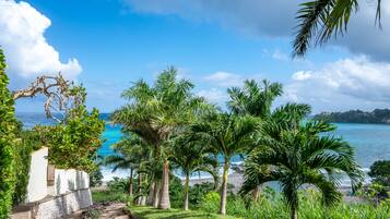 A coastal landscape with palm trees, a clear sky, and a view of the ocean.