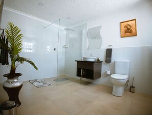 Dusch, hårtork, handdukar och tvål