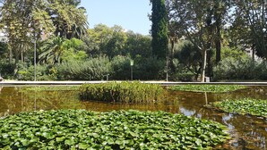 A serene park with a pond covered in lily pads, surrounded by lush greenery and trees. - Apartment with private terrace, 3 bedrooms, Eixample (Barcelona)