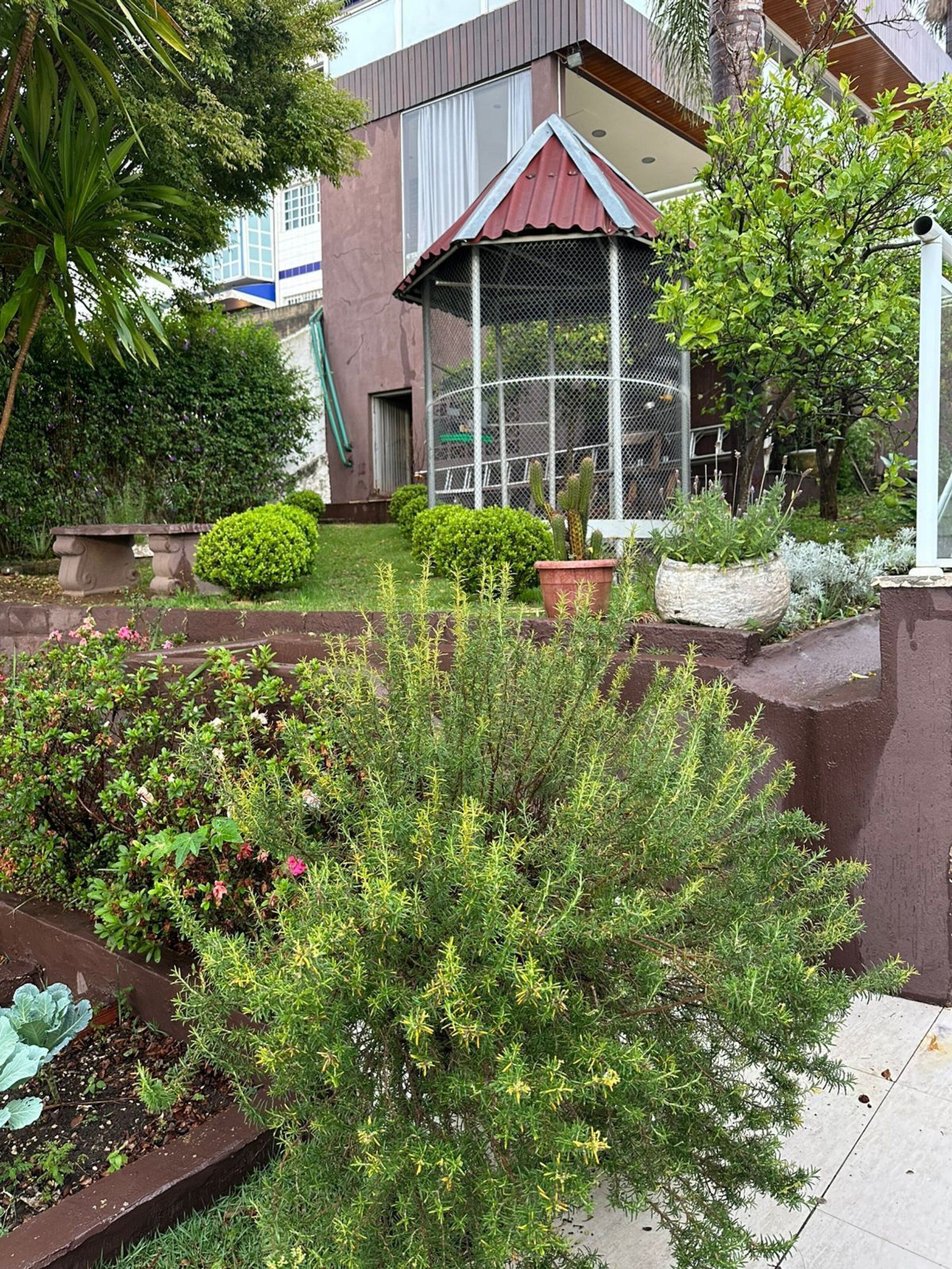 Deluxe Villa | Property grounds