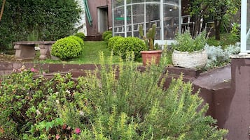 Vil·la Deluxe | Àrea exterior de l'allotjament