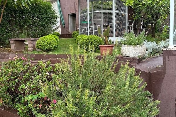 Deluxe Villa | Property grounds