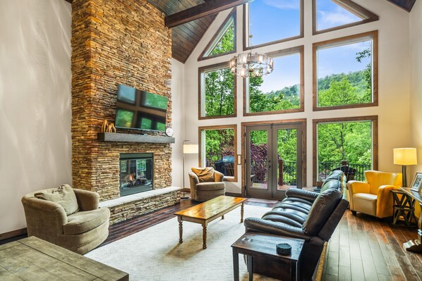 Smart TV, fireplace, video games, books