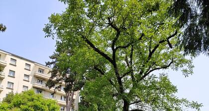 Appartement rénové avec place de parking dans résidence fermée et sécurisée