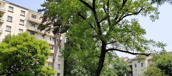 Appartement Rénové Avec Place de Parking Dans Résidence Fermée et Sécurisée