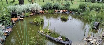 Gemütlichkeit & Ruhe am Vierkanthof im Apartment 1