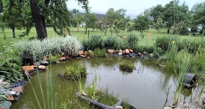 Gemütlichkeit & Ruhe am Vierkanthof im Apartment 1