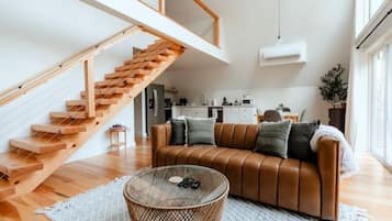 智能电视、壁炉、音乐库、立体声音响