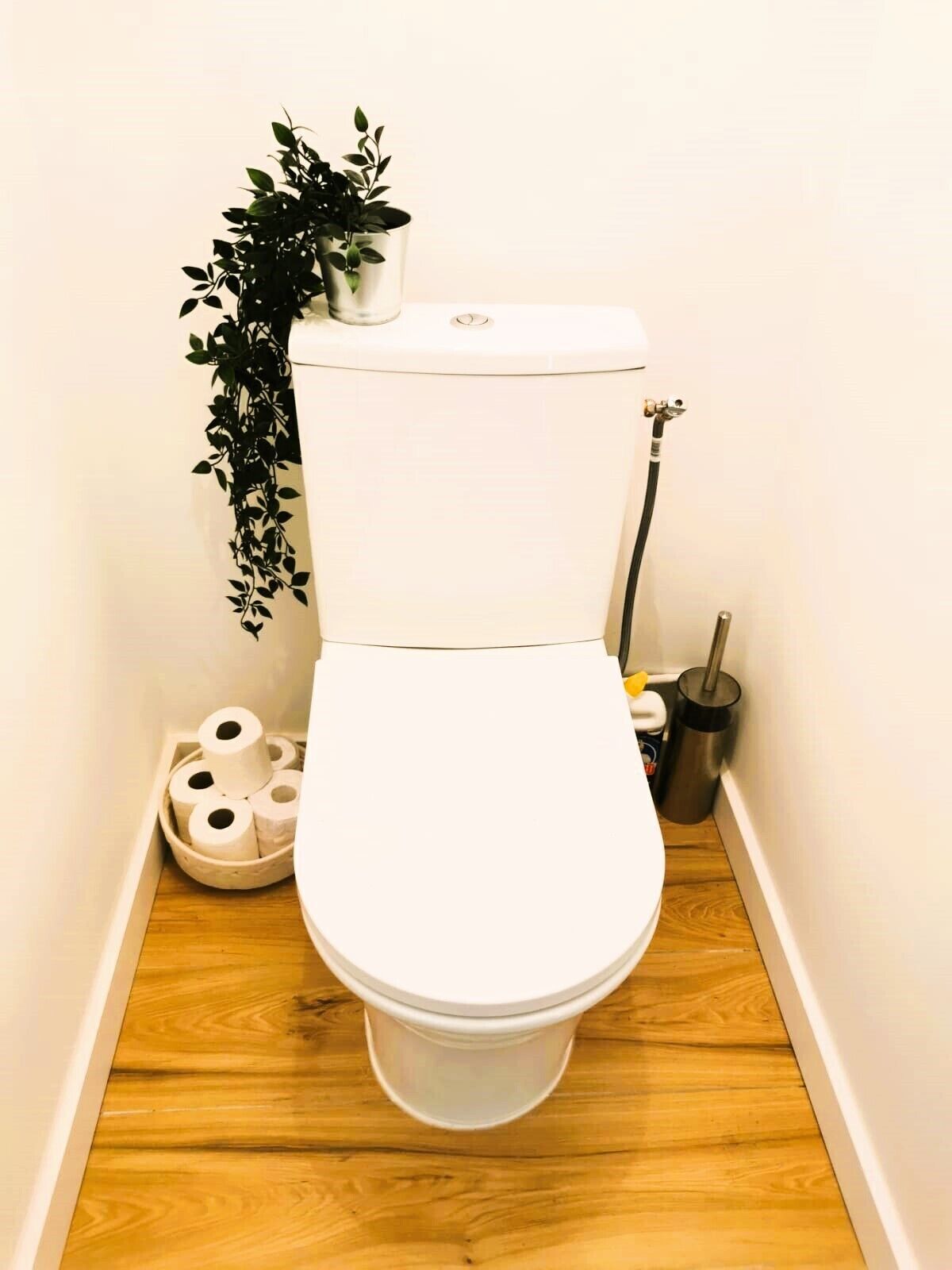 Eine Toilette mit weißem Deckel, eine Pflanze an der Wand, ein Toilettenpapierhalter und ein Bidet-Schlauch.