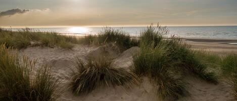 Chaises longues, serviettes de plage