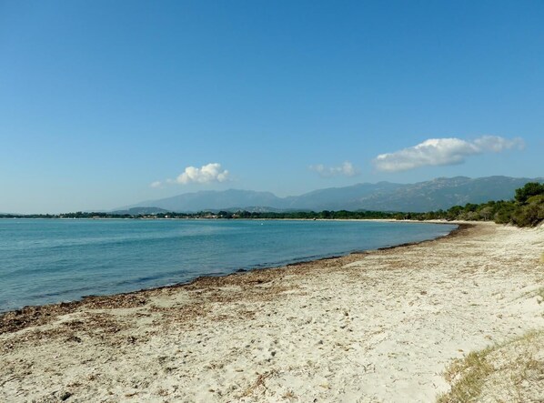 Vlak bij het strand