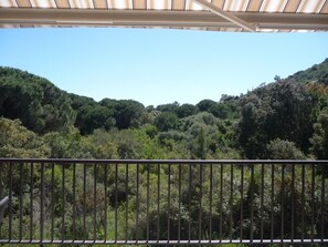 Property grounds - Apartment 'Luna Verde' with Shared Pool, Private Terrace and Wi-Fi (Porto-Vecchio)