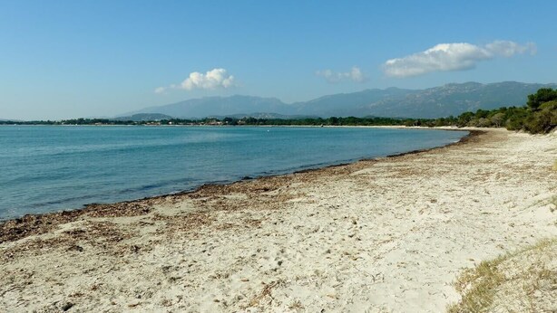 A beach with a clear sky, calm water, and distant mountains. - Apartment 'Luna Verde' with Shared Pool, Private Terrace and Wi-Fi (Porto-Vecchio)