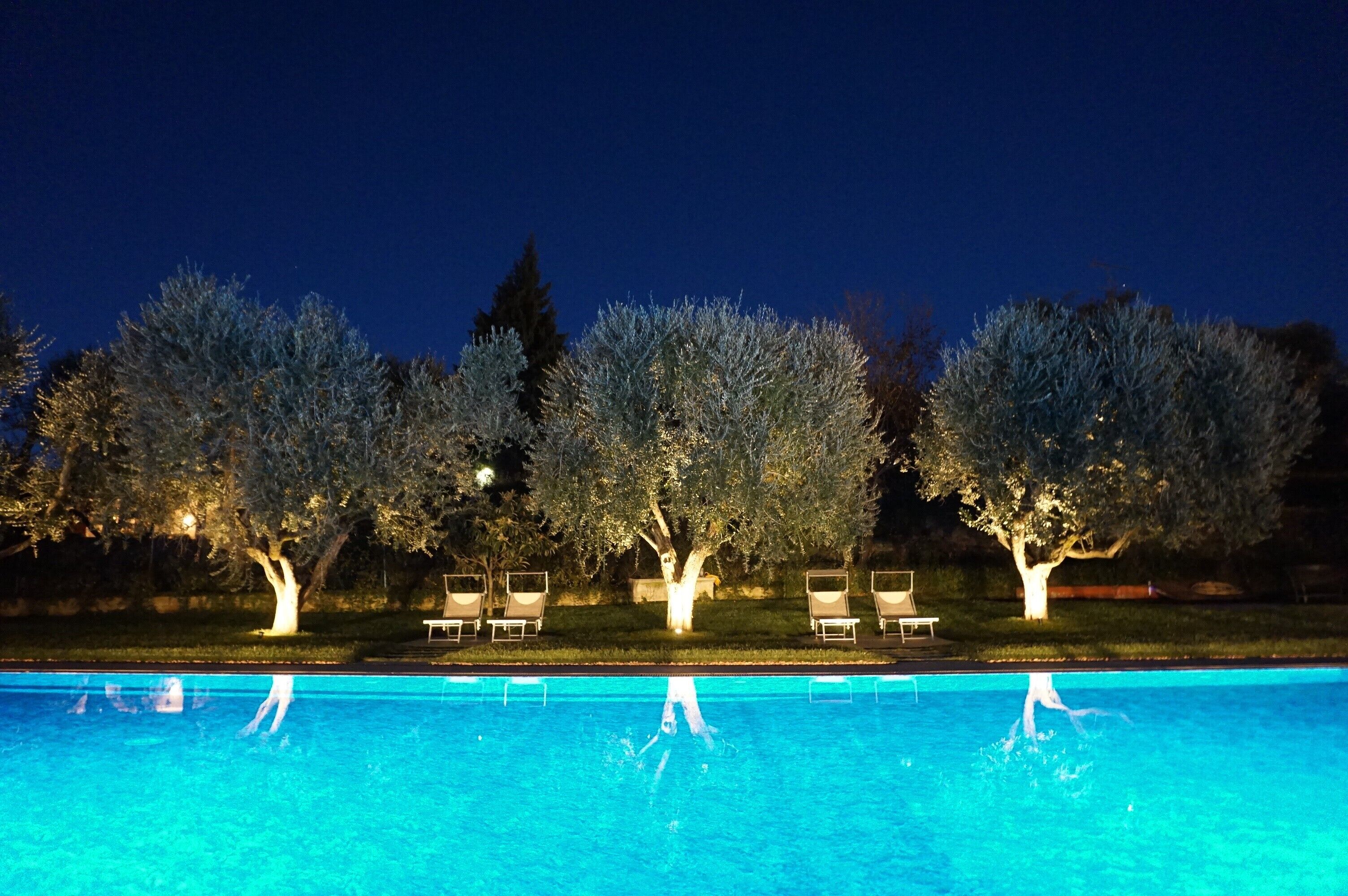 Piscina cercada por árvores e cadeiras de descanso.