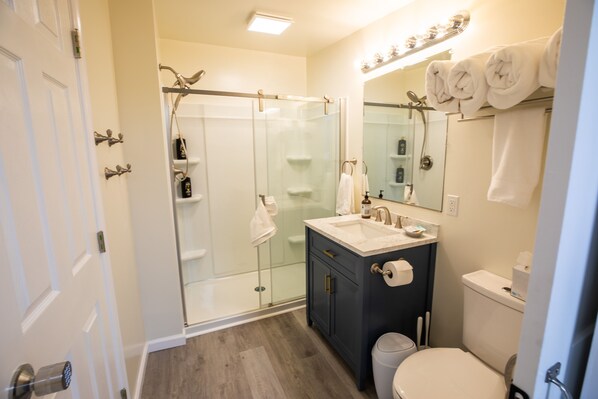 Shower, hair dryer, towels, soap