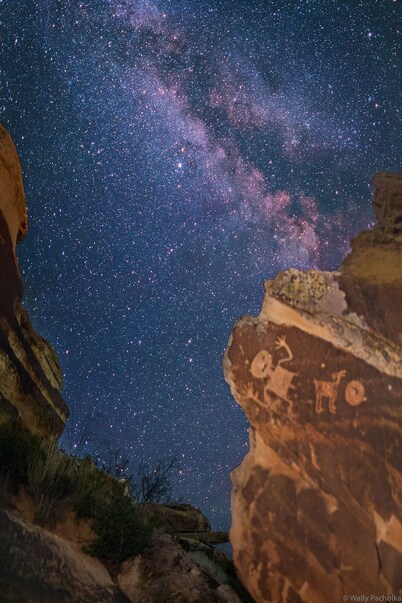 Petrified Forest Campground
Raw barren Land