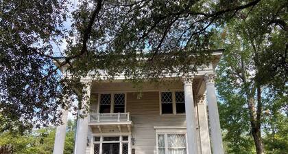 Elegant 2BR in 1905 Belhaven Historic Home