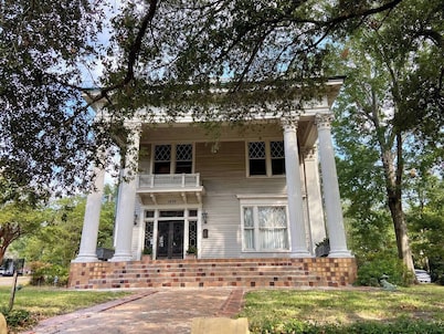 Elegant 2BR in 1905 Belhaven Historic Home