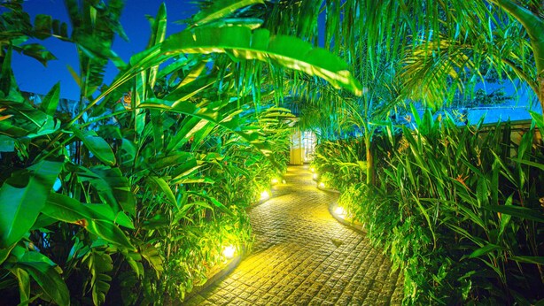 A pathway surrounded by lush greenery and illuminated by warm lights. - Treebo Greenland Resort Patia with Swimming Pool (Bhubaneshwar)