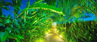 Treebo Greenland Resort, Patia