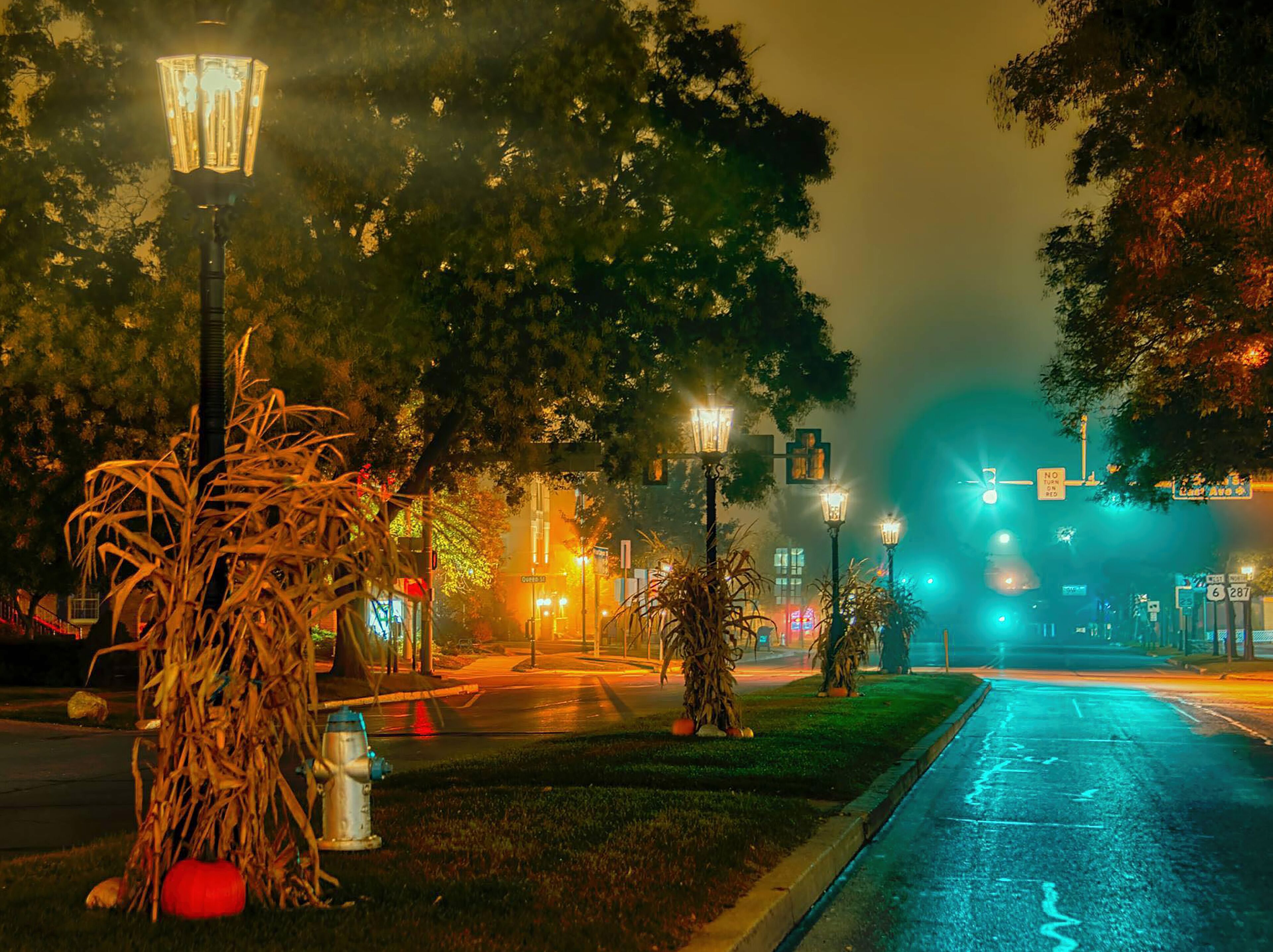 Une scène de rue nocturne avec des lampadaires, des arbres et une route.