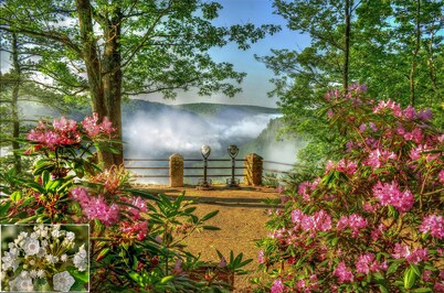 Fountain View I -Charming historical building in the heart of downtown Wellsboro